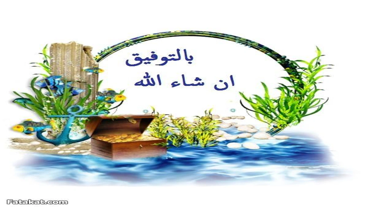 رد على بالتوفيق