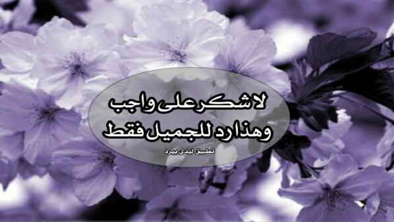 رد على رسالة شكر