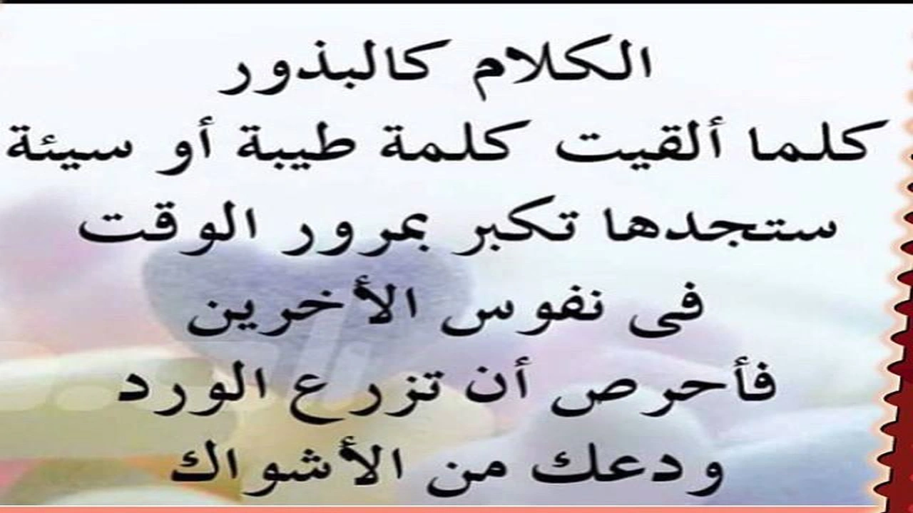 رد على شخص يقول انت لست من مستواي