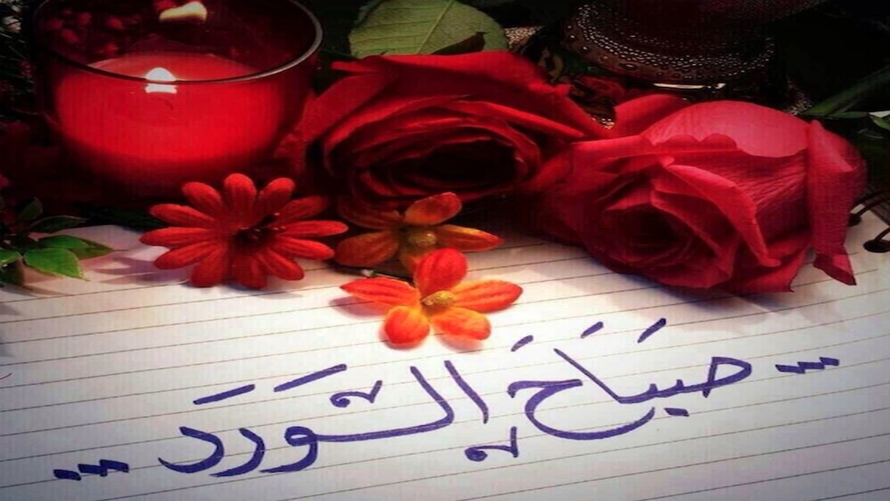 رد على صباح الورد