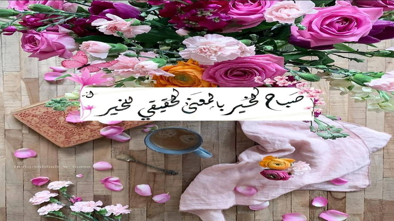 رد على صباحو