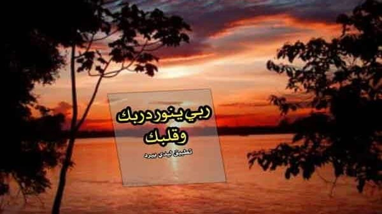 رد على نورتي