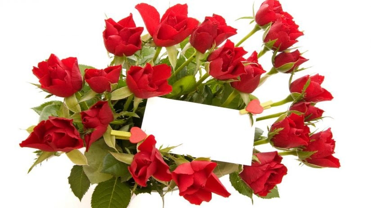 شكرا لقبول الطلب