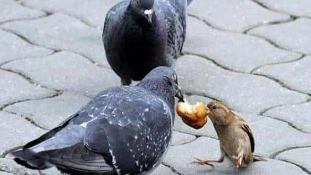 قصص واقعية عن الرزق من حيث لا يحتسب