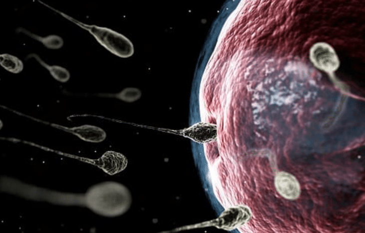 كيف أعرف أن التلقيح تم بنجاح؟ من أول يوم