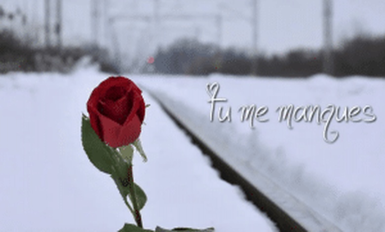 الرد على tu me manque