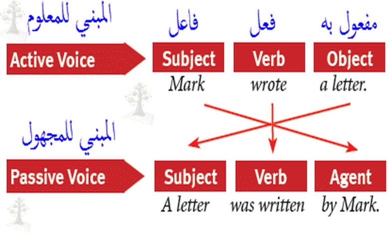 امثلة على قاعدة passive voice