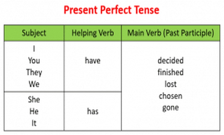 امثلة عن قاعدة present perfect