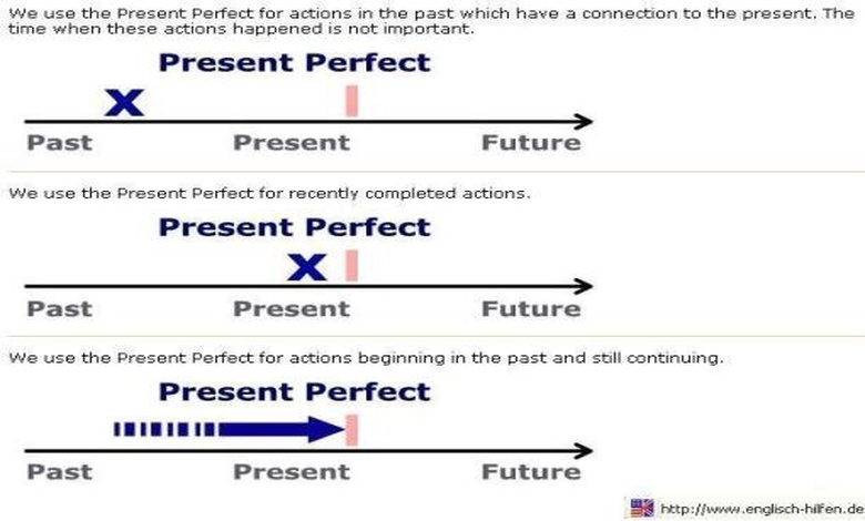 امثلة عن قاعدة present perfect