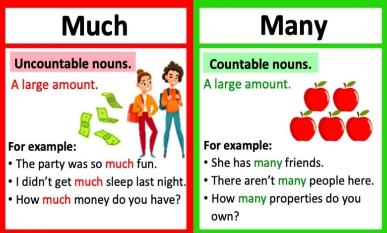 تدريبات على many much