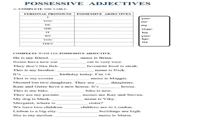 تدريبات على possessive adjectives