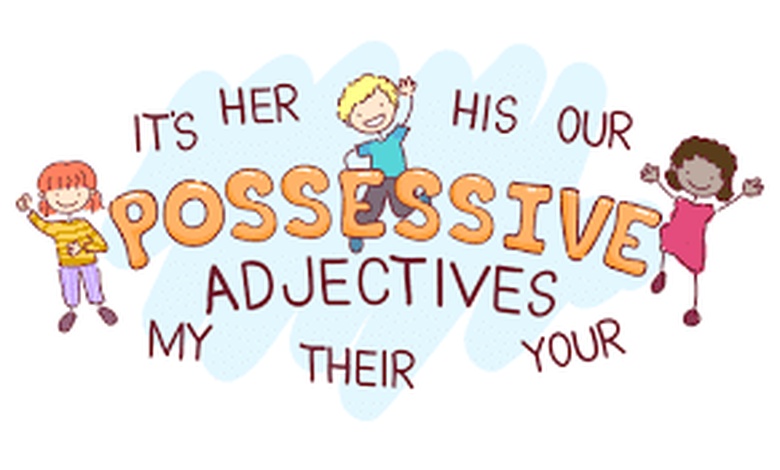 تدريبات على possessive adjectives