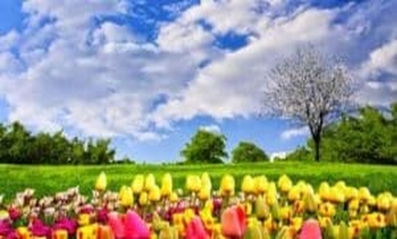 جمل عن فصل الربيع بالانجليزي