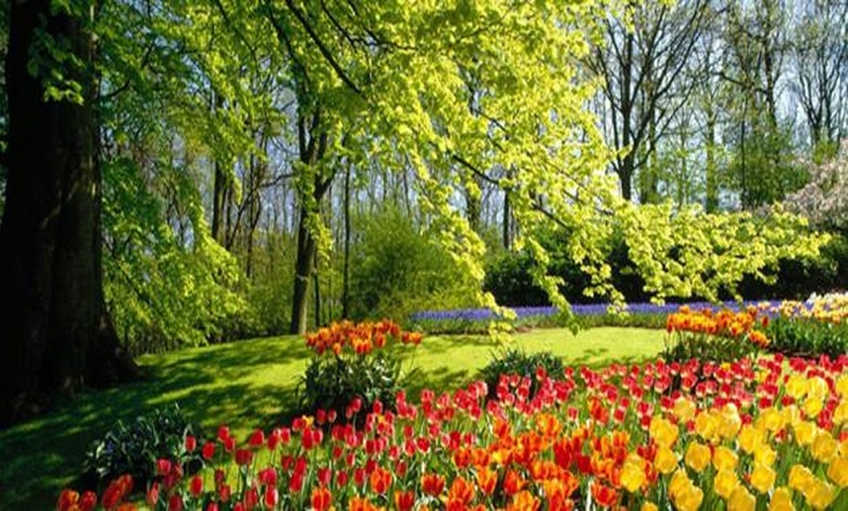 جمل عن فصل الربيع بالانجليزي