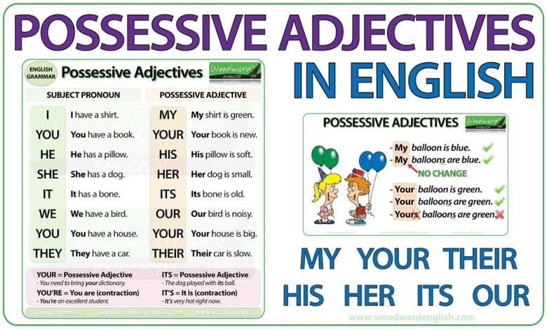 شرح possessive adjectives