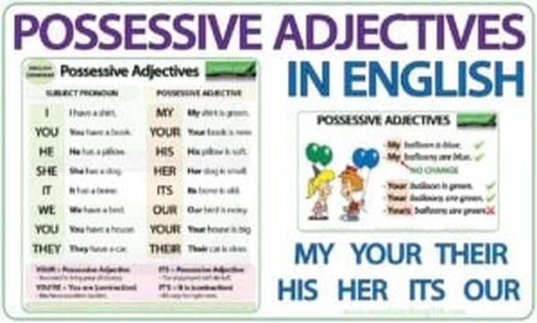 شرح possessive adjectives