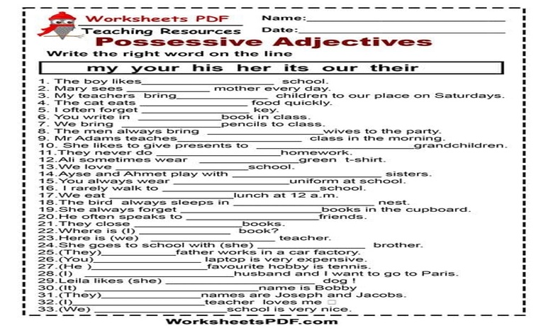 شرح possessive adjectives