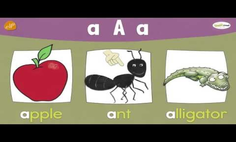 كلمات بالانجليزي بحرف a