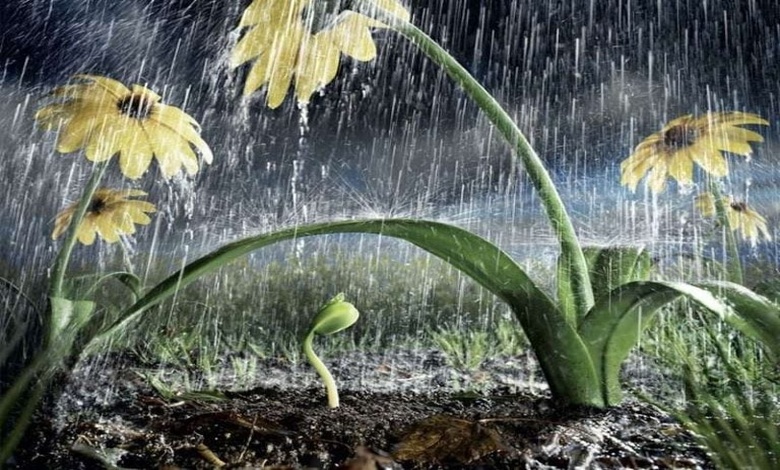 موضوع تعبير عن الشتاء باللغه الانجليزيه