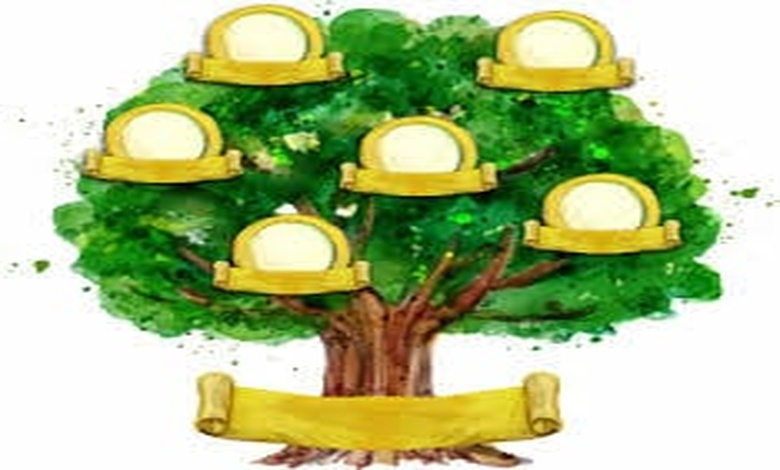 نموذج شجرة العائلة فارغة pdf