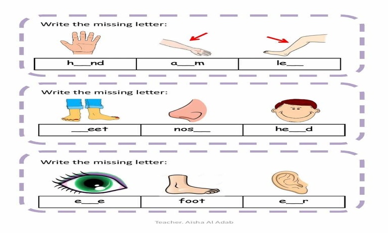 ورقة عمل الحروف الانجليزية