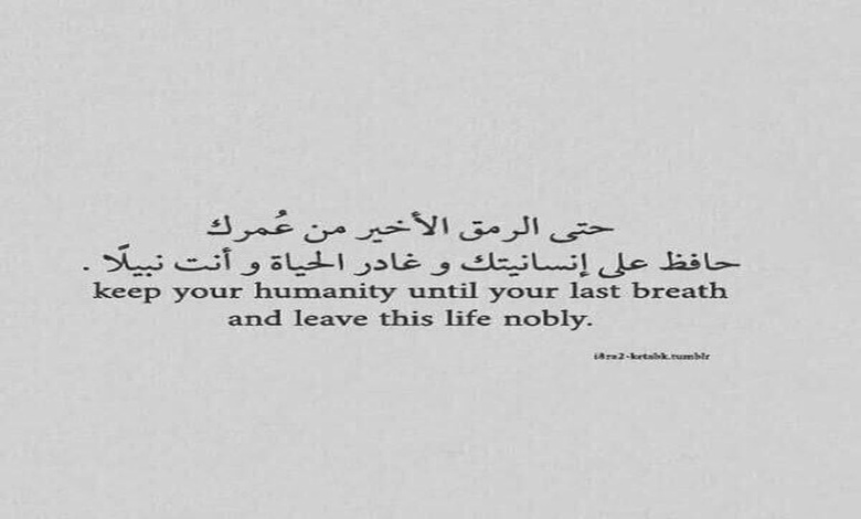 حالات واتس اب حب بالانجليزي ومعناها بالعربي جديدة 