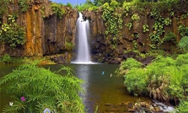 موضوع تعبير بالانجليزي عن الطبيعة