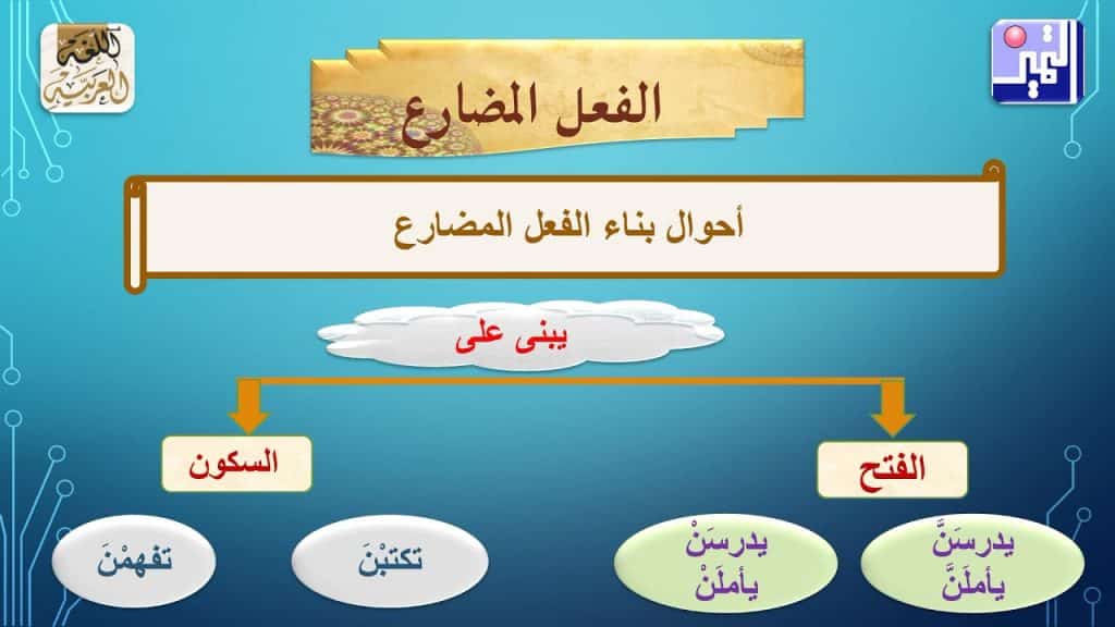 جمل فيها فعل مضارع 2025 - كلمات اغاني