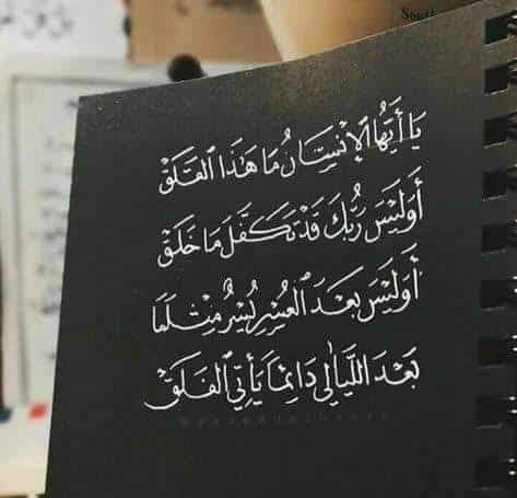 أجمل بيوت الشعر العربي