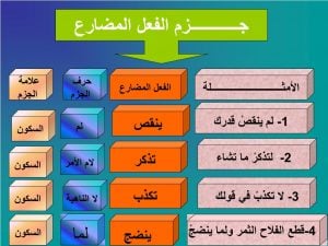 أمثلة على جزم الفعل المضارع