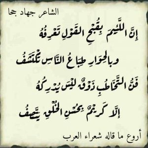 ابيات شعر ذم وشتم