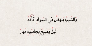 ابيات شعر عن شيب الراس