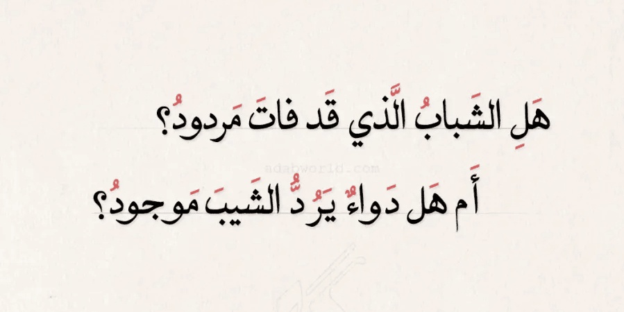 ابيات شعر عن شيب الراس