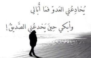 ابيات شعر في خيانة الصديق