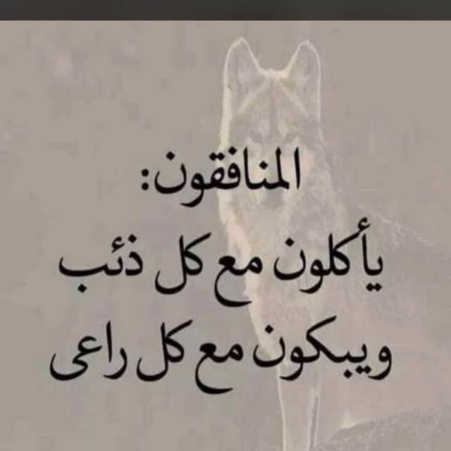 ابيات شعر في ذم النفاق