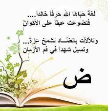 ابيات شعر في لغة الضاد