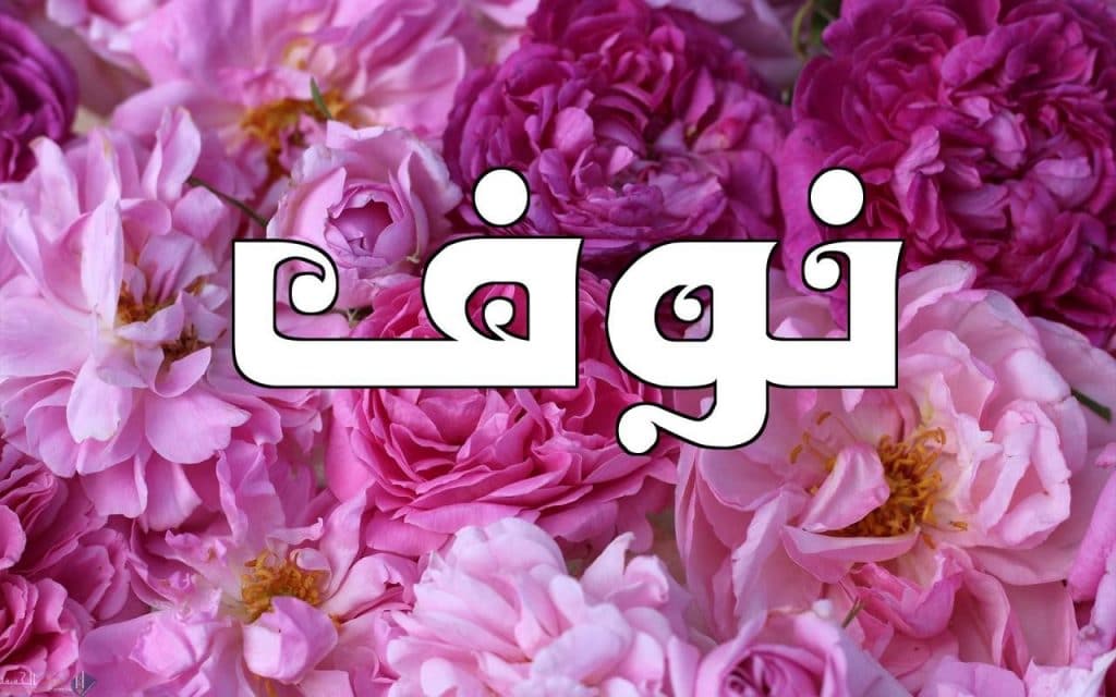 ابيات شعر في نوف