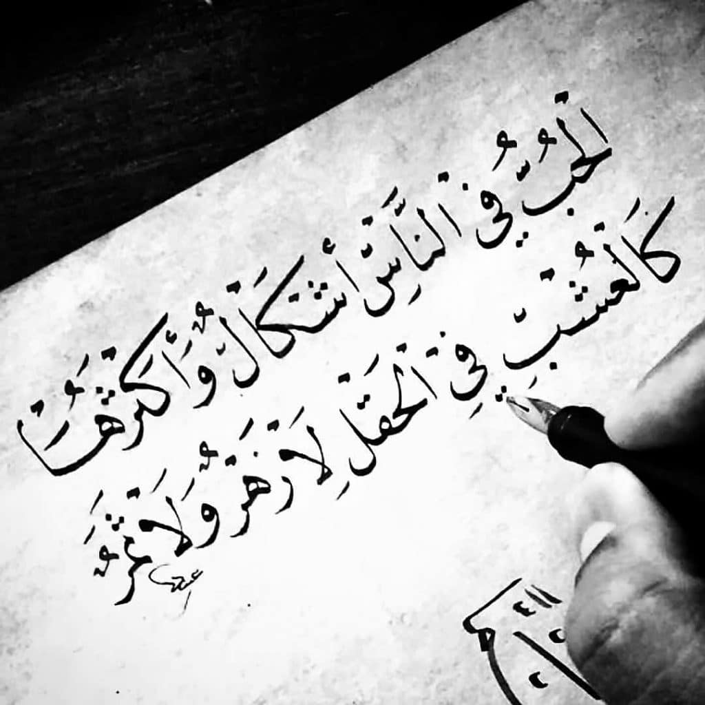 ابيات شعرية رائعة