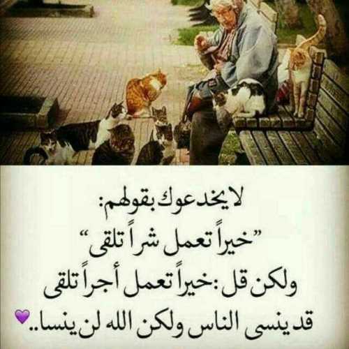 ابيات شعرية عن التعاون