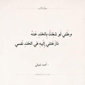 اجمل ابيات شعر عن الوطن