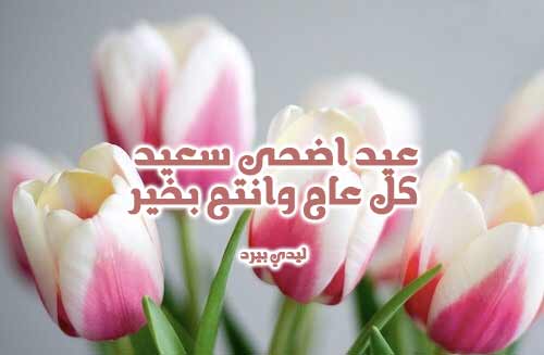 اجمل الصور المتحركة لعيد الاضحى