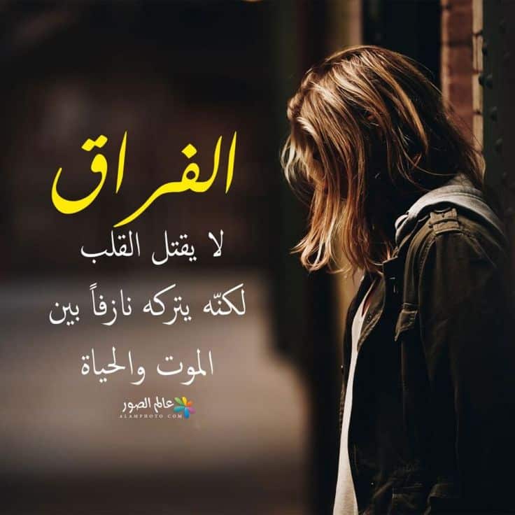 اجمل كلام بعد الفراق