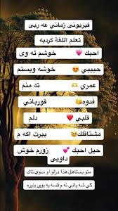 كلمات كردية مع الترجمة