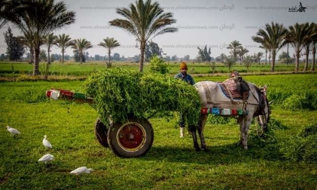 اجمل مناظر طبيعية في مصر