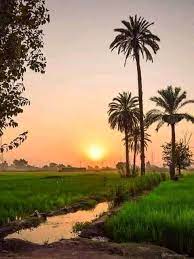 اجمل مناظر طبيعية في مصر