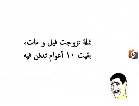نكت سريعة