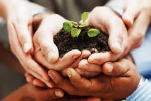 ارقام الجمعيات الخيرية في الامارات