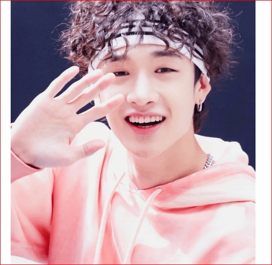 اسماء فرقة ستراي كيدز