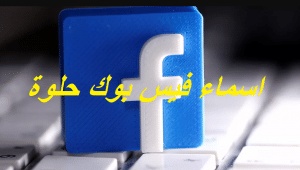 اسماء فيس بوك حلوة