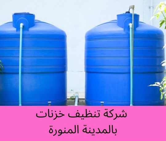 افضل شركة شركة مكافحة حشرات بالمدينة المنورة 